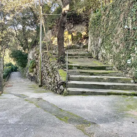 Casa Di Bacco, Holiday home Ischia