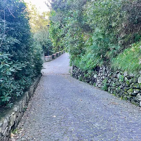 Casa Di Bacco,
